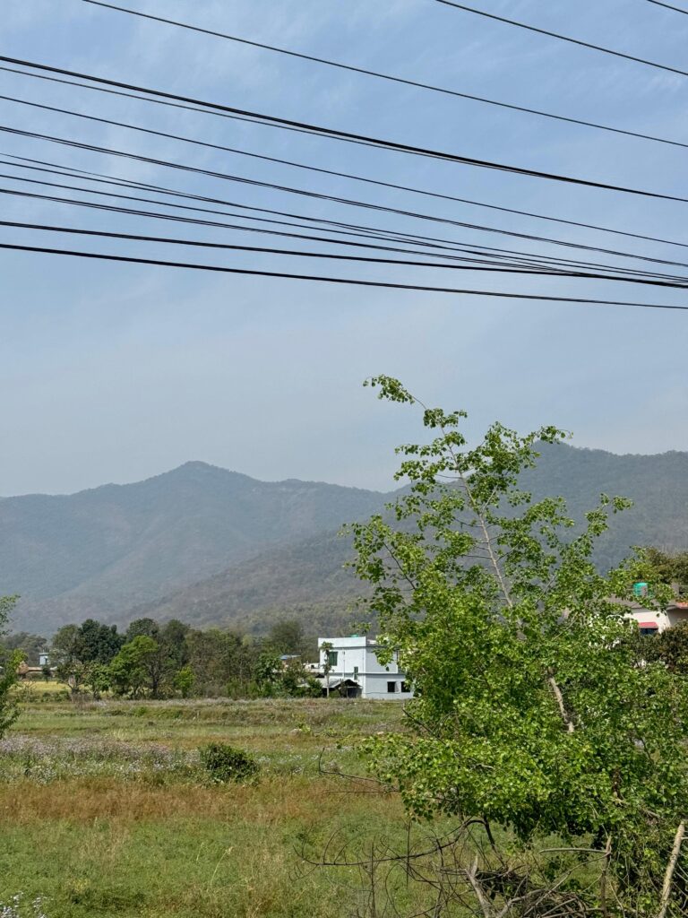 WhatsApp Image 2025-05-18 at 11.39.06 PM