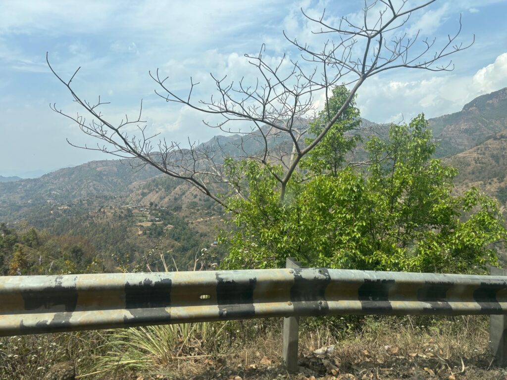 WhatsApp Image 2025-05-19 at 12.00.48 AM (4)